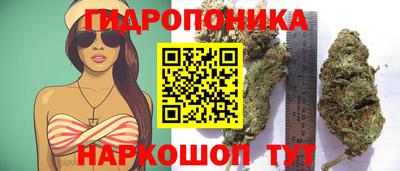 прущие крисы Анапа